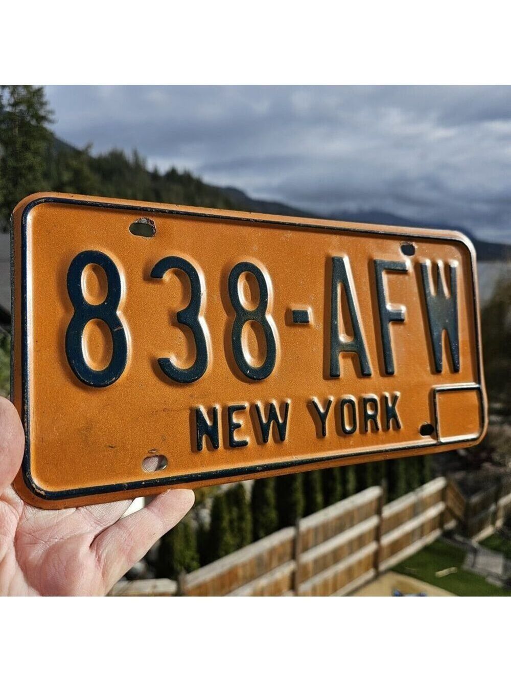 New York License Plate 838-AFW United States USA 🇺🇲